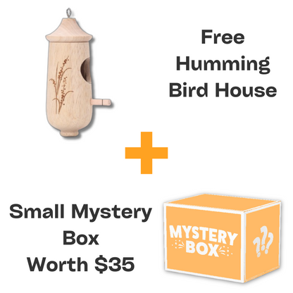 Hummingbird House-Gift for Nature Lovers
